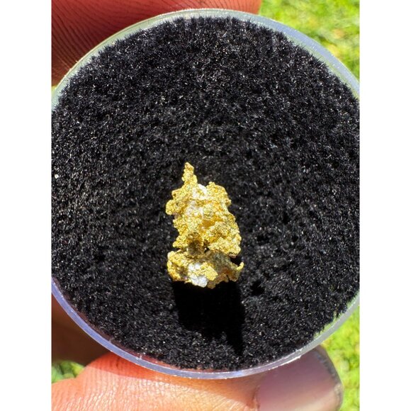 California Native Gold Crystal - 0.64 grams - Picture 3 of 3